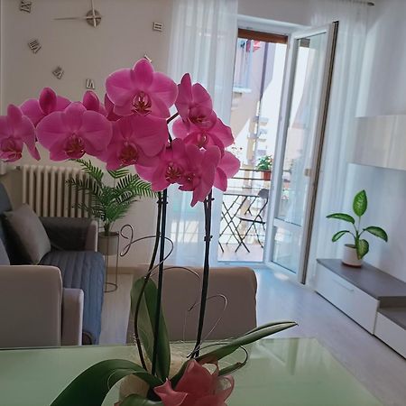 Apartment Jessy Baveno Luaran gambar